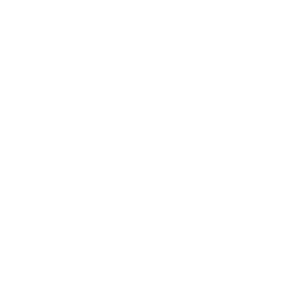 skill-development skill-development